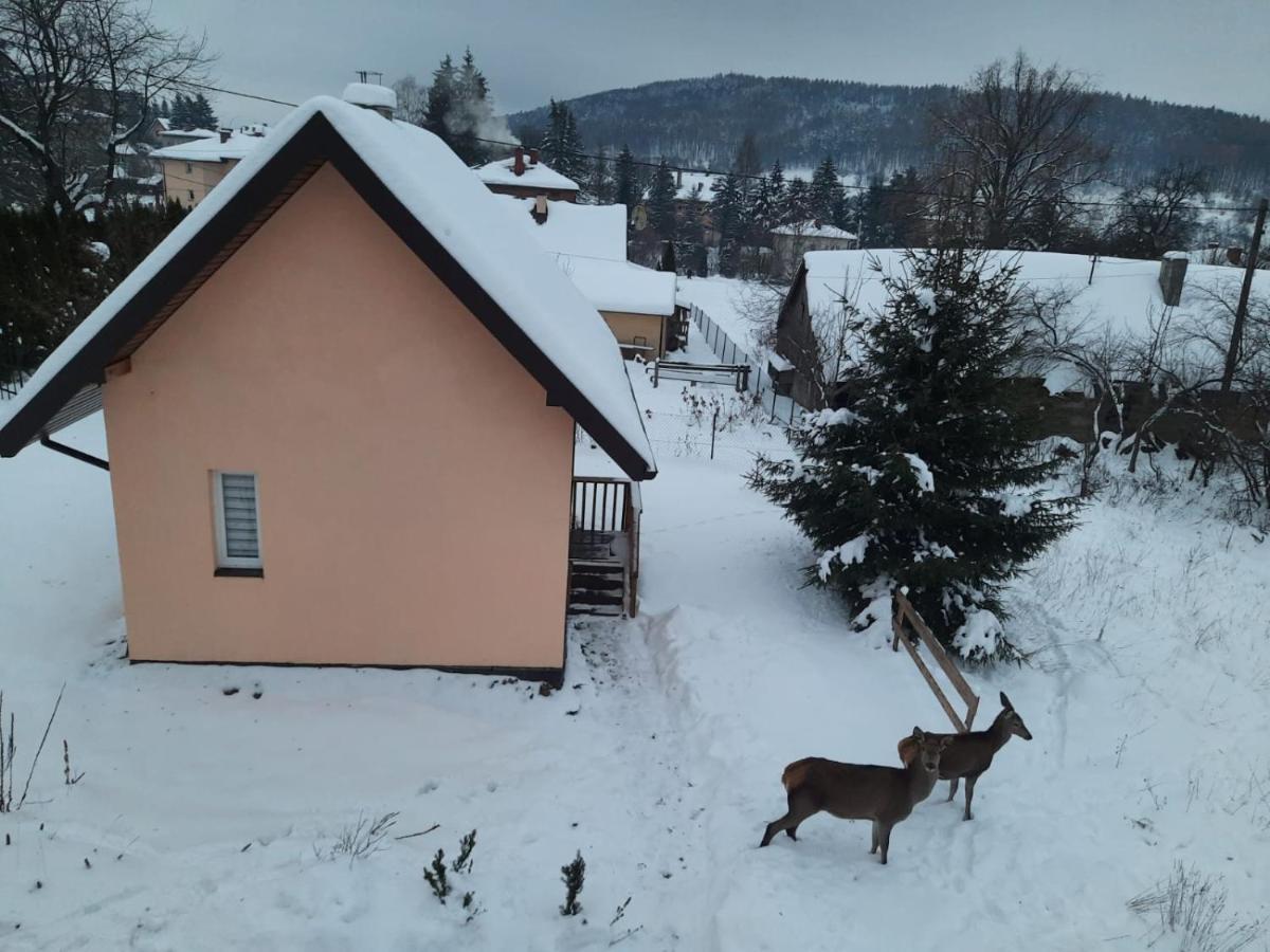 Brzoskwiniowy Domek Ustrzyki Dolne Exterior foto